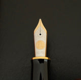 Pelikan Souveran M1000 Fountain Pen - Four Seasons Lucky Charm (Limited Edition)
