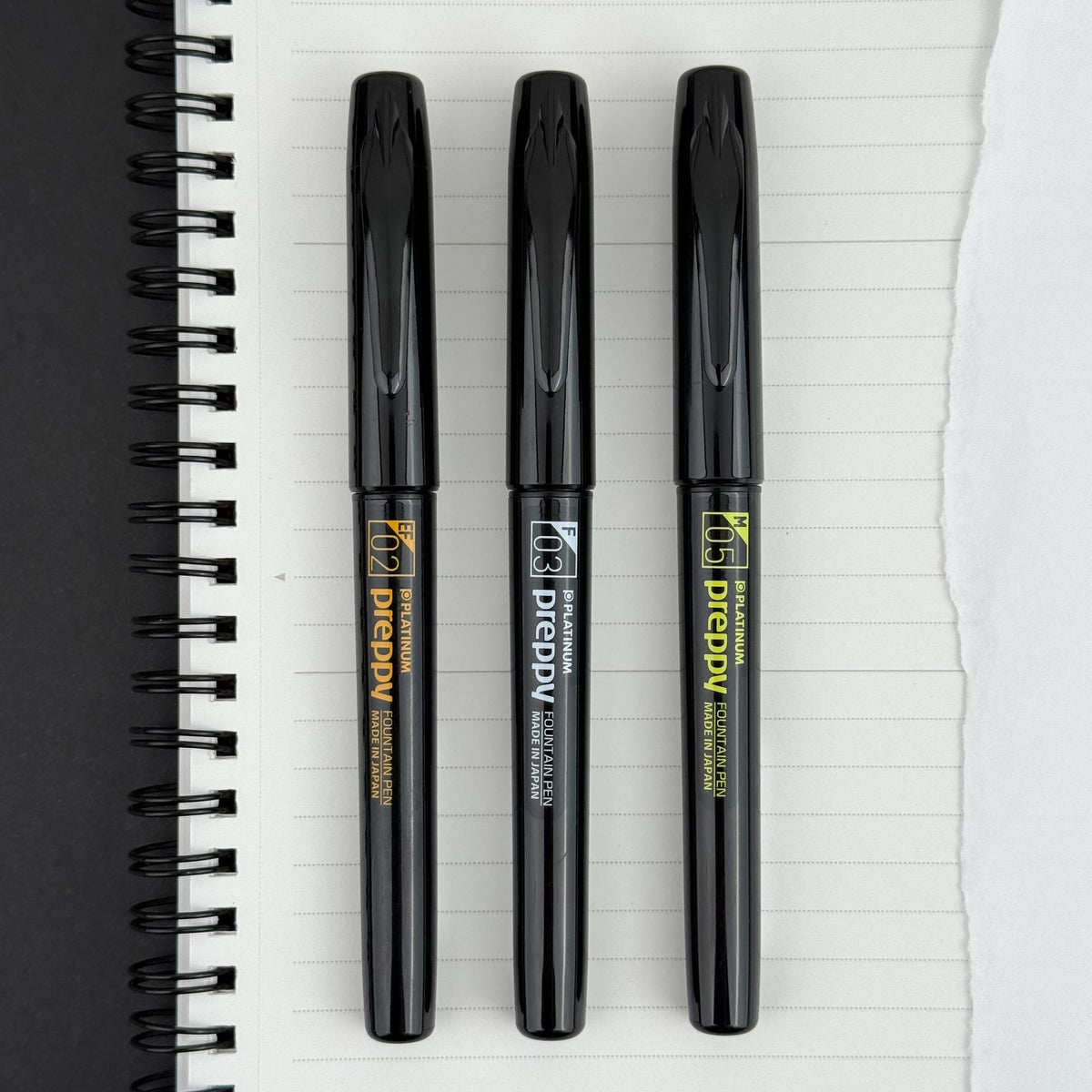 Platinum Preppy Fountain Pen - Black Series (Special Edition)