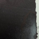 Private Reserve Back In Black - 90ml Bottled Ink (Limited Edition)
