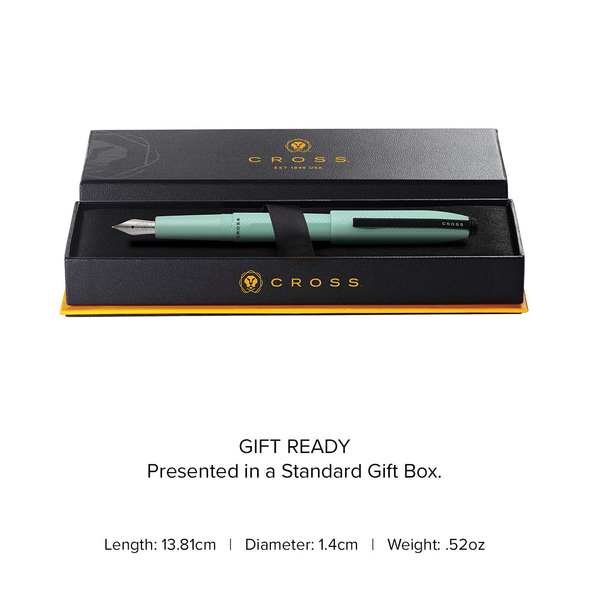Prism Seafoam Fountain Pen - gift box and specs