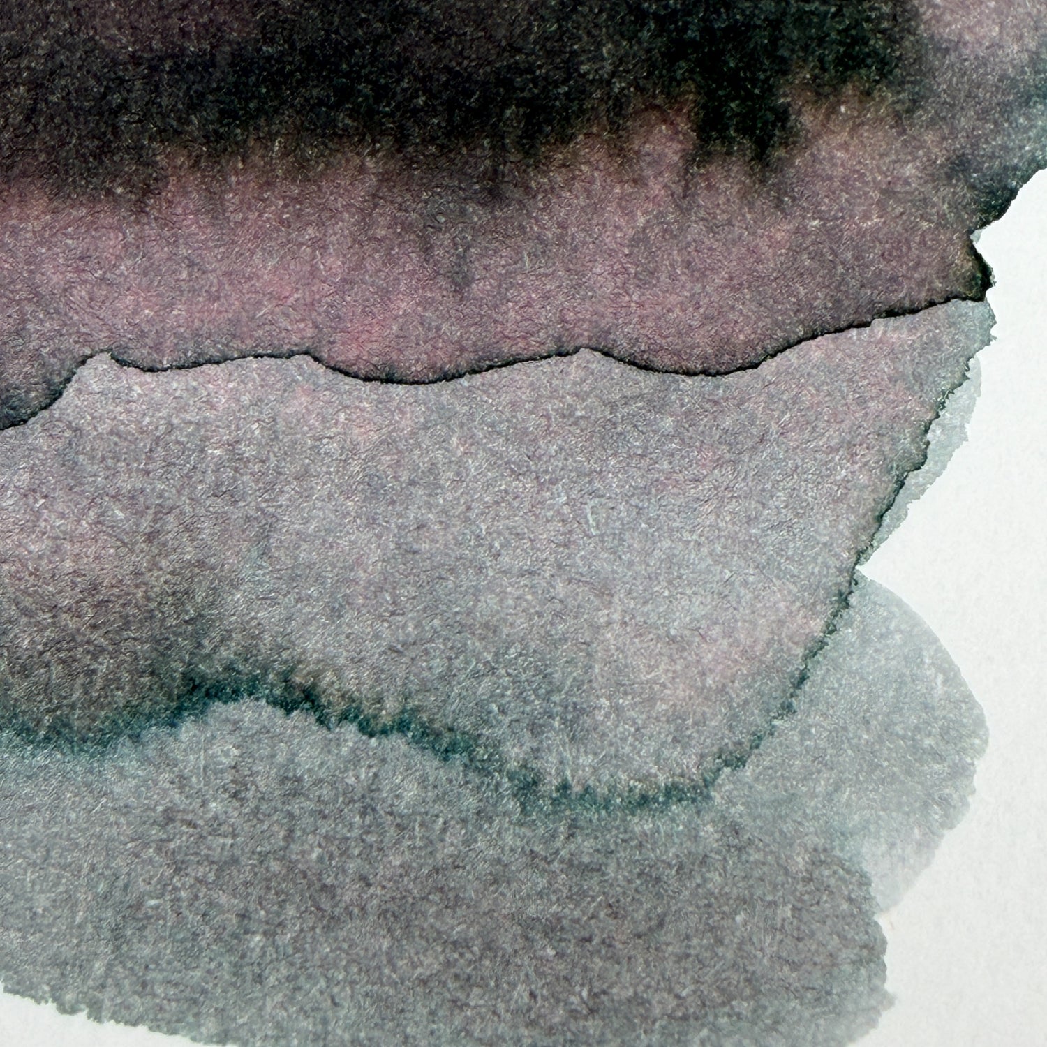 TheCoffeeMonsterzCo x Robert Oster Murky Pond Water - 50ml Bottled Ink (TheCoffeeMonsterzCo Exclusive)