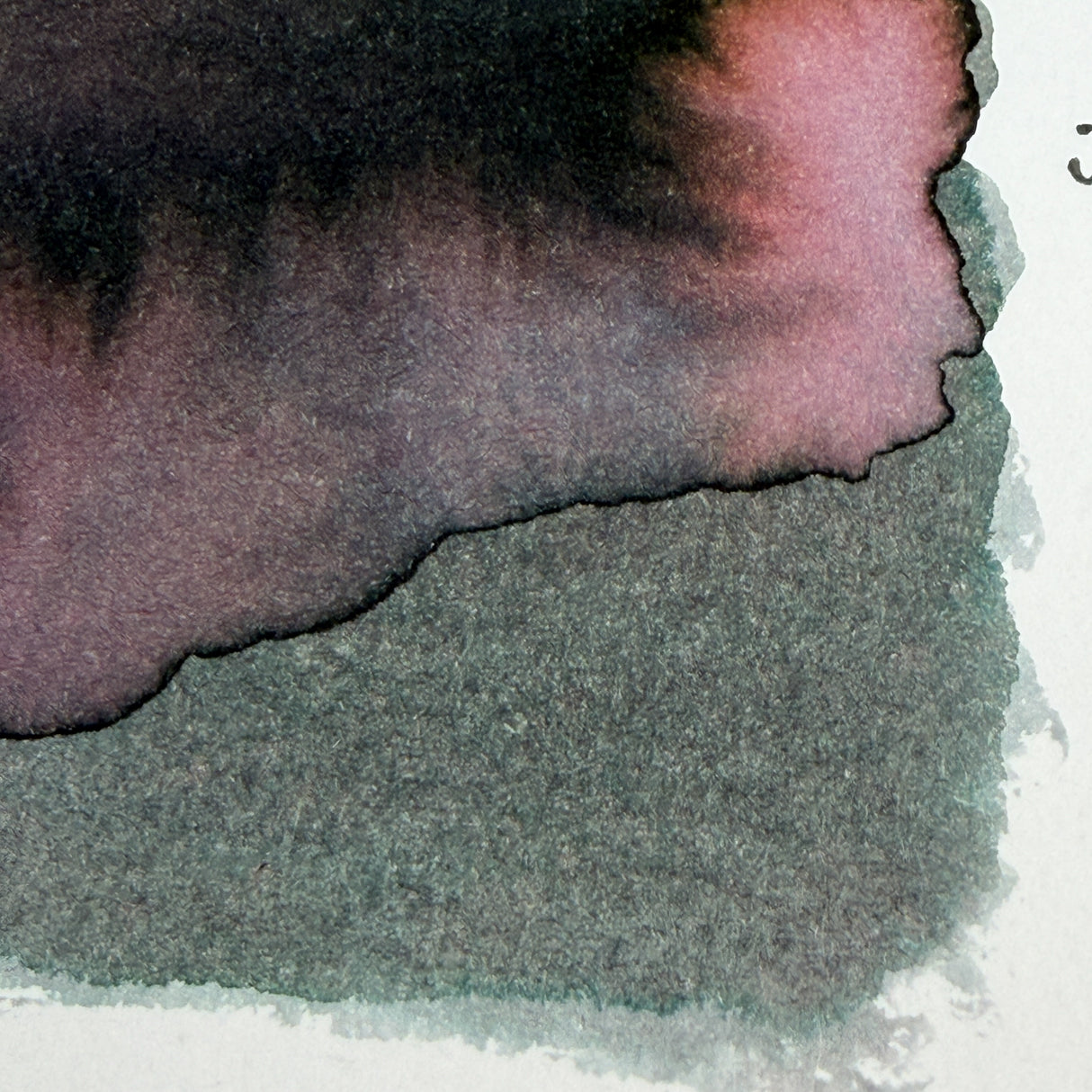 TheCoffeeMonsterzCo x Robert Oster Murky Pond Water - 50ml Bottled Ink (TheCoffeeMonsterzCo Exclusive)