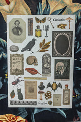 CoraCreaCrafts Curiosities Sticker Sheet