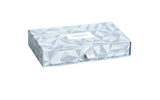 Caran d'Ache Leman Ballpoint Pen - Alpine Frost (Special Edition)