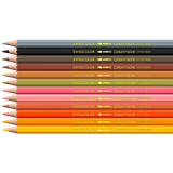 Caran D'Ache Swisscolor 12-Piece Watercolor Pencil Set - Kawaii Collection - Cute Animals