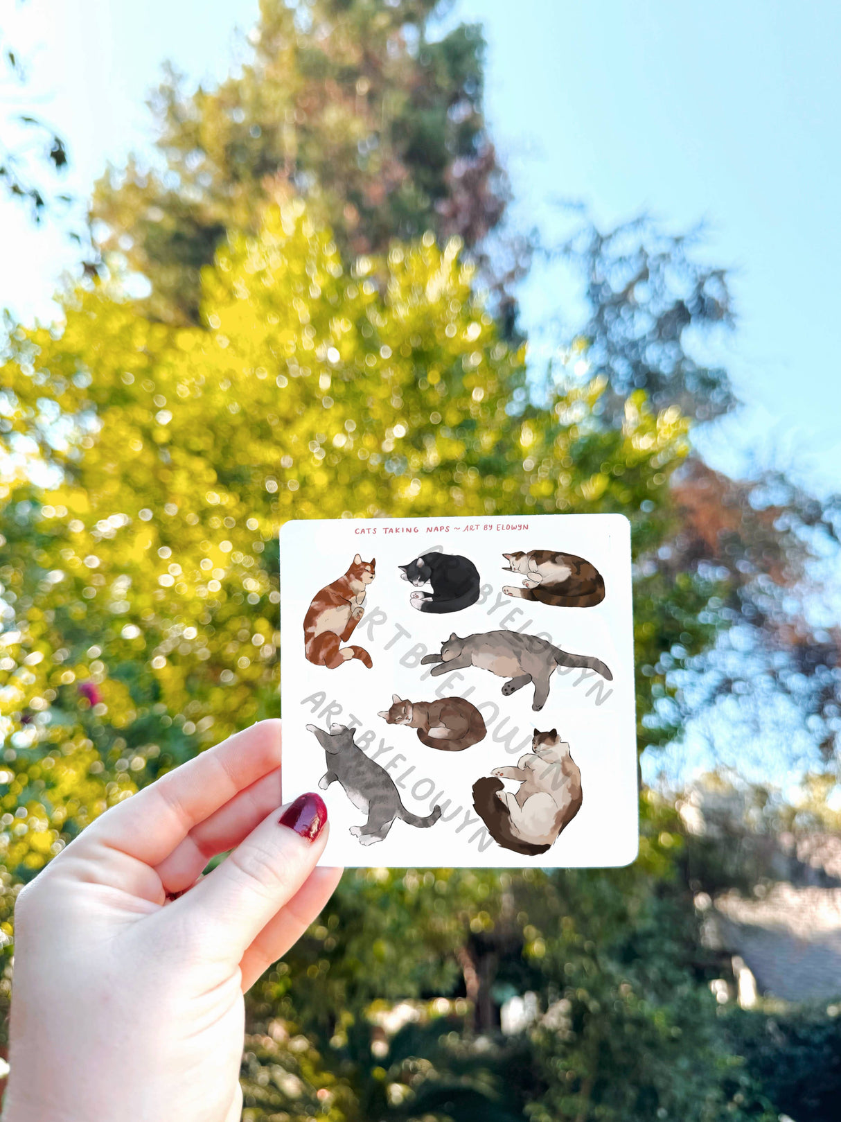 Art By Elowyn Mini Cats Taking Naps Sticker Sheets 