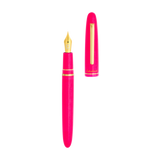 Esterbrook Funky Town Estie Fountain Pen - Pink