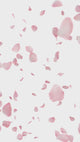 Pelikan Classic M200 Fountain Pen - Cherry Blossom (Special Edition)