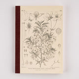 Hobonichi A5 Notebook - Graph - Tomitaro Makino: Yamazakura