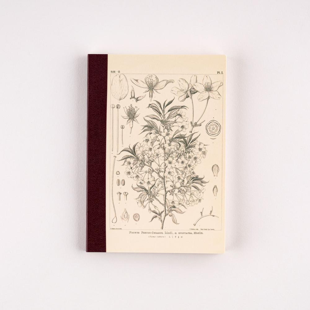 Hobonichi A6 Notebook - Graph - Tomitaro Makino: Yamazakura